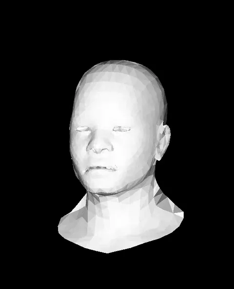 An animated demo of the renderer