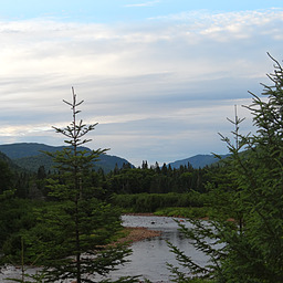 cropped_DSC00018.JPG