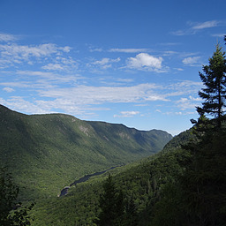 cropped_DSC00028.JPG