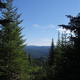 cropped_DSC00034.JPG