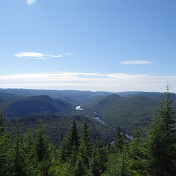 cropped_DSC00037.JPG
