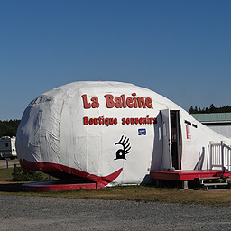 cropped_DSC00070.JPG