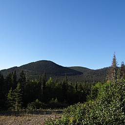 cropped_DSC00079.JPG