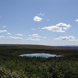 cropped_DSC00104.JPG