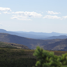 cropped_DSC00105.JPG