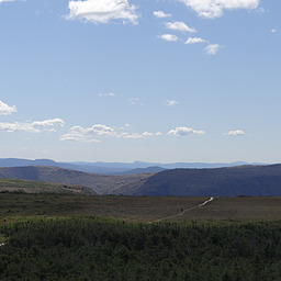 cropped_DSC00111.JPG