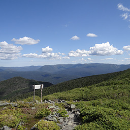 cropped_DSC00117.JPG