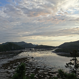 cropped_DSC00131.JPG