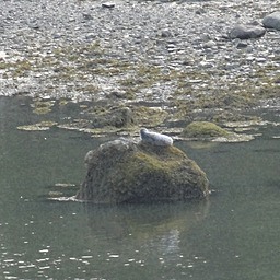 cropped_DSC00132.JPG