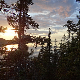 cropped_DSC00135.JPG