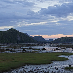 cropped_DSC00141.JPG