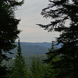 cropped_DSC00164.JPG