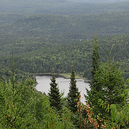 cropped_DSC00171.JPG