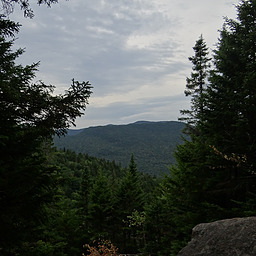 cropped_DSC00173.JPG