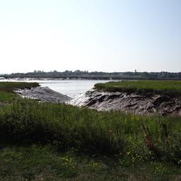cropped_DSC01586.JPG