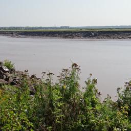 cropped_DSC01593.JPG