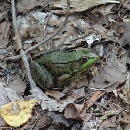 cropped_DSC01620.JPG