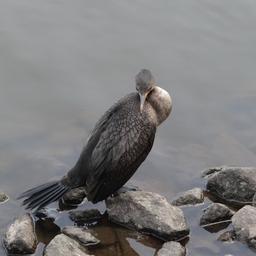 cropped_DSC01626.JPG