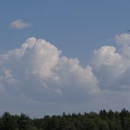 cropped_DSC01631.JPG