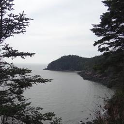 cropped_DSC01685.JPG