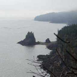 cropped_DSC01691.JPG