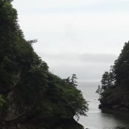 cropped_DSC01699.JPG