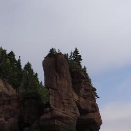 cropped_DSC01753.JPG