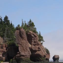 cropped_DSC01762.JPG
