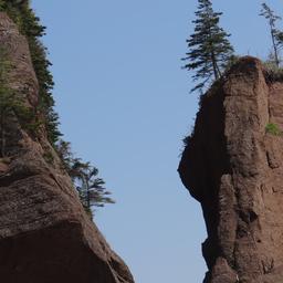 cropped_DSC01780.JPG