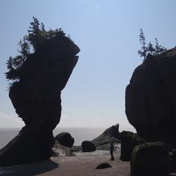 cropped_DSC01795.JPG