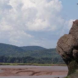 cropped_DSC01805.JPG