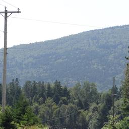 cropped_DSC01811.JPG