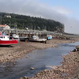 cropped_DSC01823.JPG