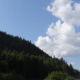 cropped_DSC01845.JPG