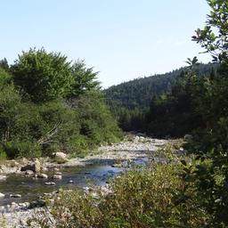 cropped_DSC01847.JPG