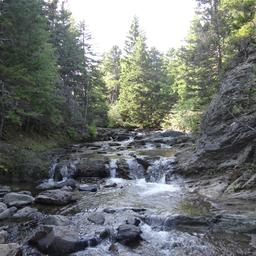 cropped_DSC01857.JPG