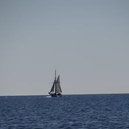 cropped_DSC01915.JPG