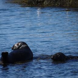 cropped_DSC01957.JPG