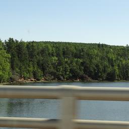 cropped_DSC02010.JPG