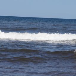 cropped_DSC02045.JPG