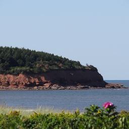 cropped_DSC02059.JPG