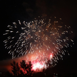cropped_photo(1).png