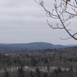 cropped_snowshoeing.jpg