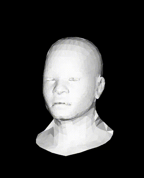 renderer demo